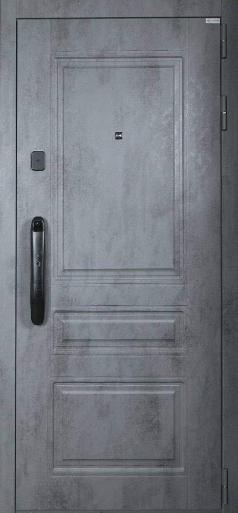 Стальная дверь "Лира" (биометрический замок Smart lock DZ 888)