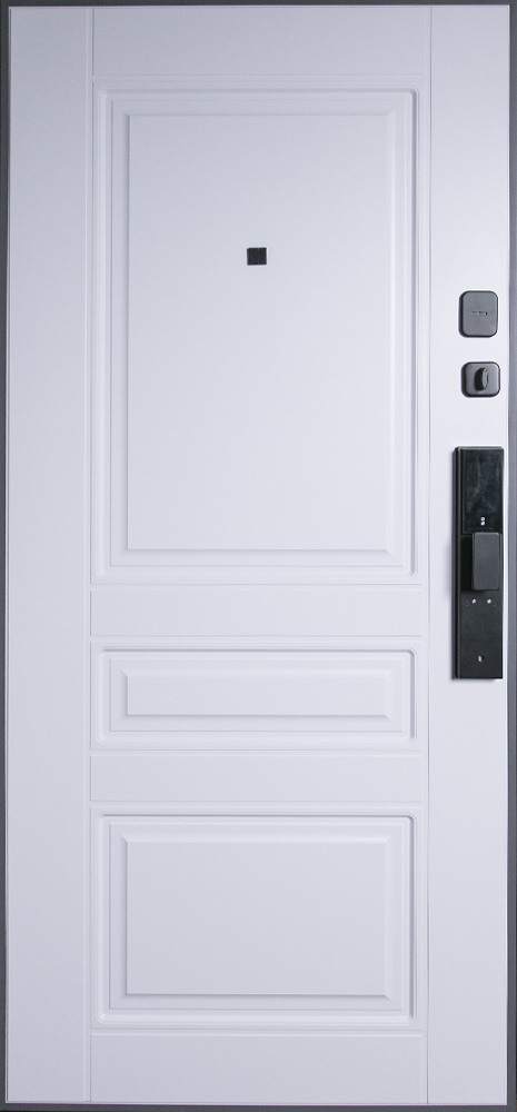 Стальная дверь "Лира" (биометрический замок Smart lock DZ 888)