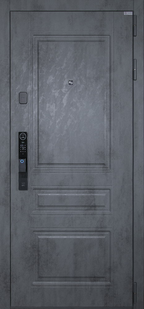 Стальная дверь "Лира" (биометрический замок Smart Lock Y12)