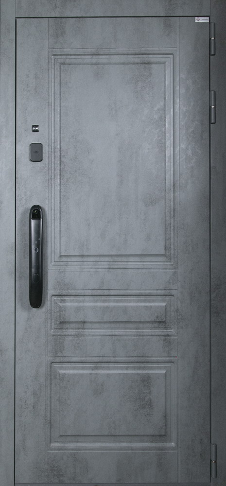 Стальная дверь "Лира" (биометрический замок Smart lock DZ 888)