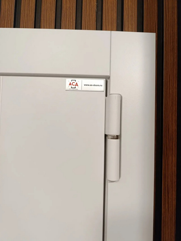 Стальная дверь "Алтай" (биометрический замок Smart lock DZ 888). Заказная модель.