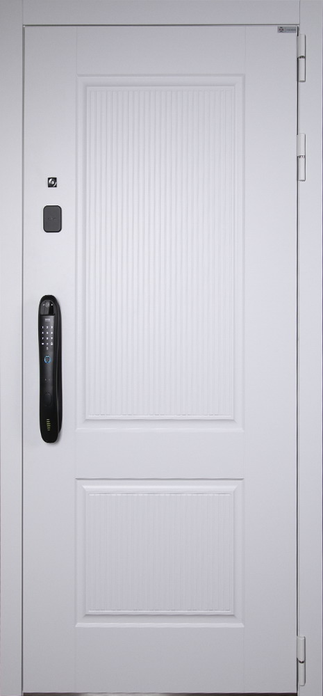 Стальная дверь "Алтай" (биометрический замок Smart lock DZ 888). Заказная модель.