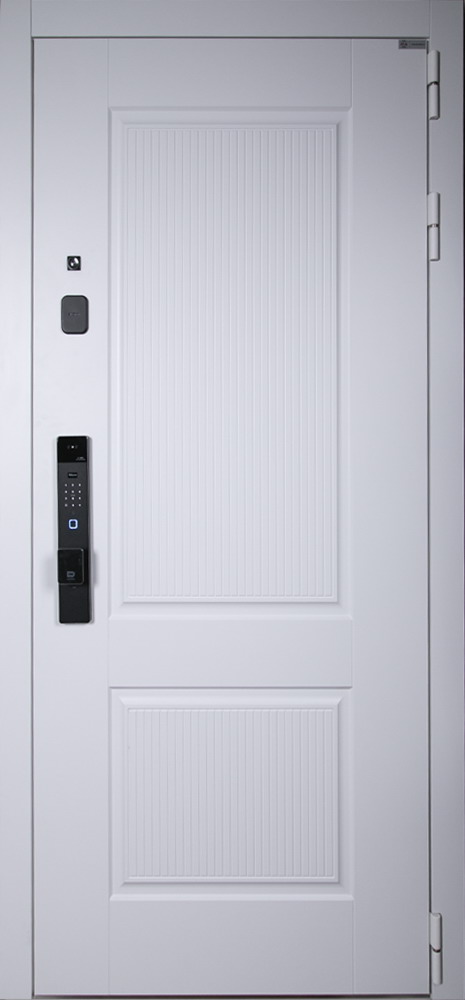 Стальная дверь "Алтай" (биометрический замок Smart lock К06). Заказная модель.