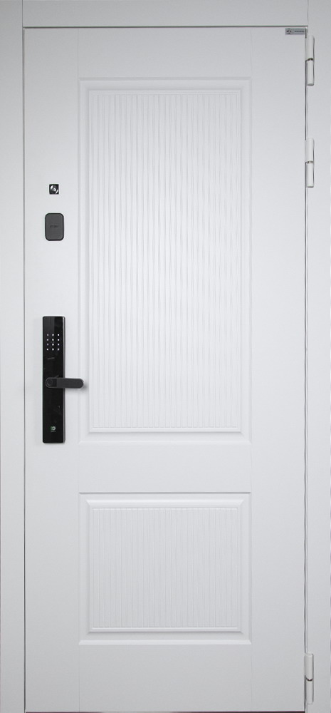 Стальная дверь "Алтай" (биометрический замок Smart lock R06). Заказная модель.