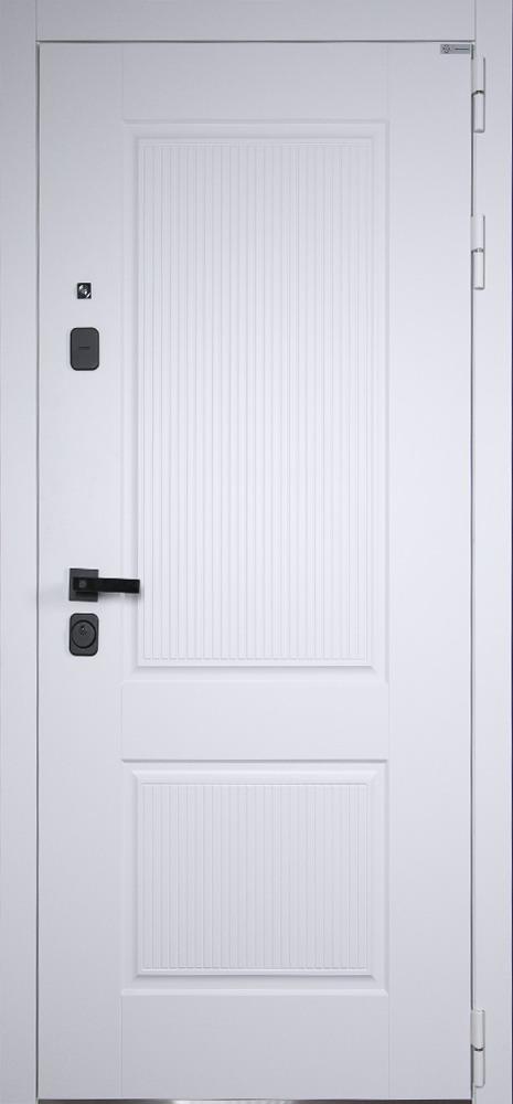 Стальная дверь "Алтай" (биометрическая дверная ручка Smart lock T888). Заказная модель.
