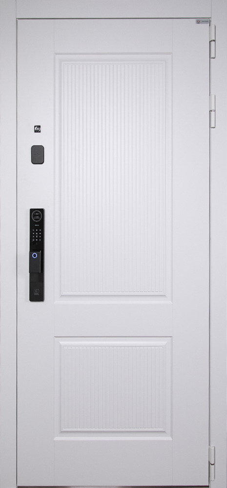 Стальная дверь "Алтай" (биометрический замок Smart lock Y12). Заказная модель.