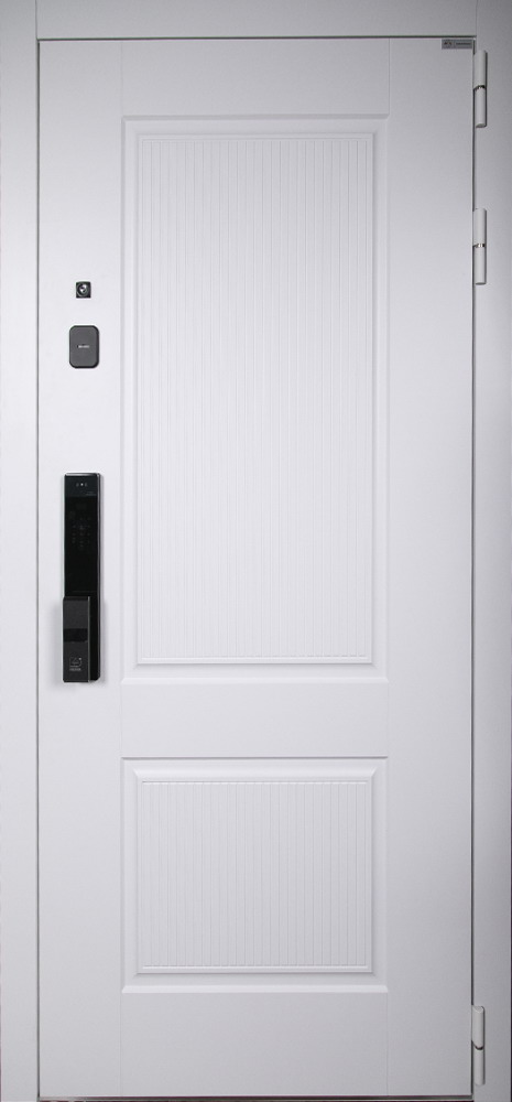 Стальная дверь "Алтай" (биометрический замок Smart lock Y23). Заказная модель.
