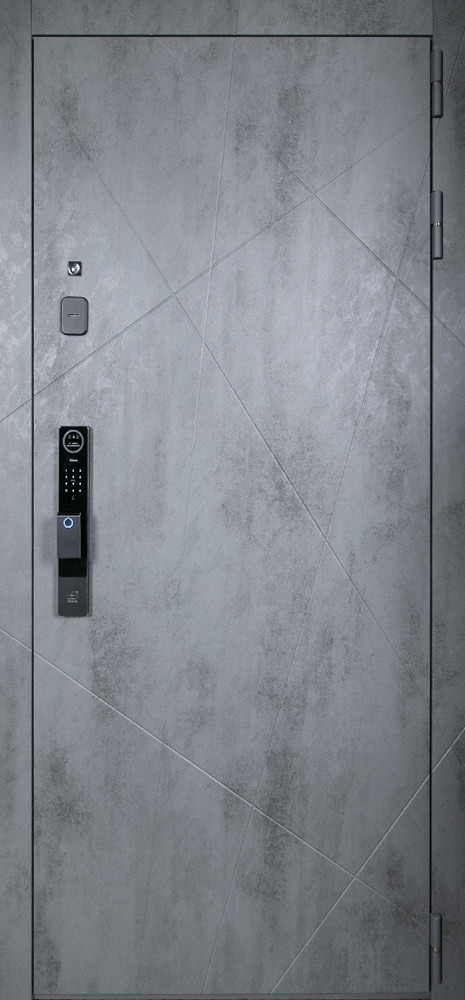 Стальная дверь "Дуэт Б" с зеркалом (биометрический замок Smart lock Y12)