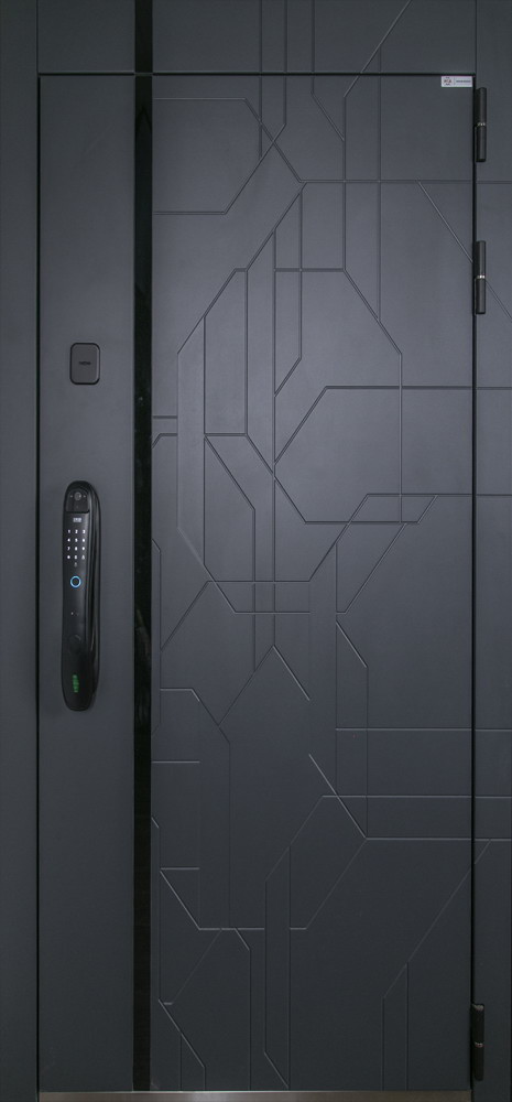 Стальная дверь "Forest" с зеркалом (биометрический замок Smart lock DZ 888)