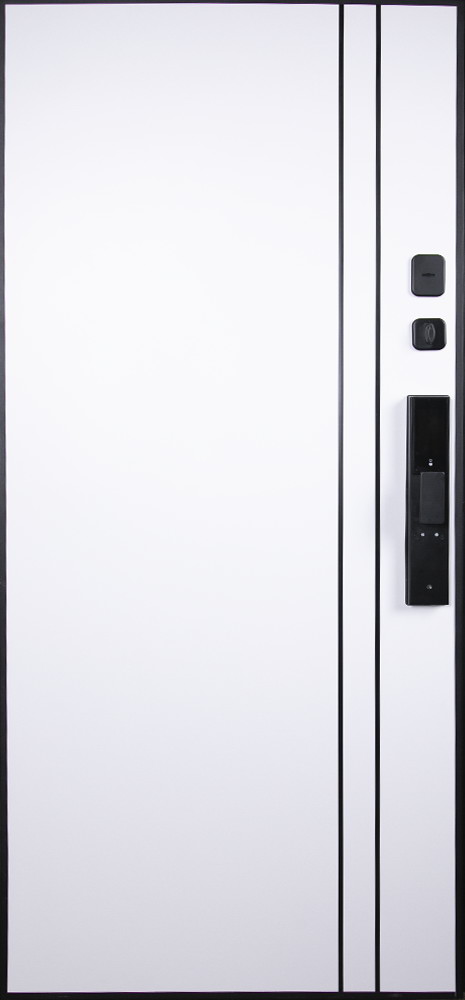 Стальная дверь "Forest" (биометрический замок Smart lock DZ 888)