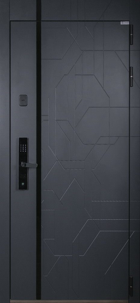 Стальная дверь "Forest" с зеркалом (биометрический замок Smart lock R06)