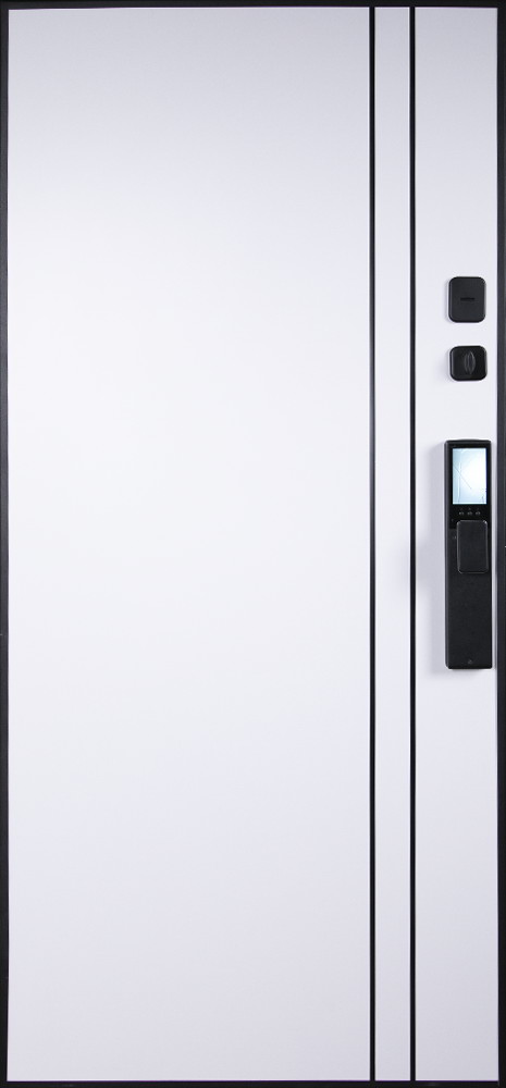 Стальная дверь "Forest" (биометрический замок Smart Lock Y12)