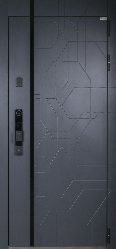 Стальная дверь "Forest" (биометрический замок Smart Lock Y12)