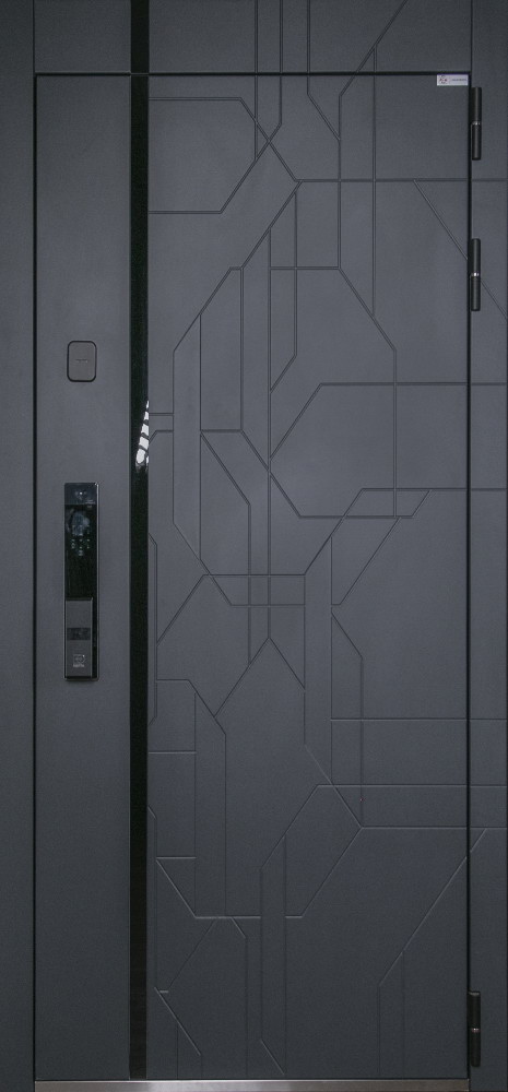 Стальная дверь "Forest" (биометрический замок Smart lock Y23)