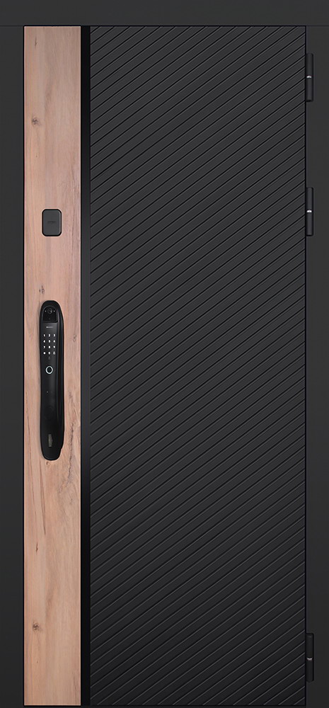 Стальная дверь "Фрегат" (биометрический замок Smart lock DZ 888)