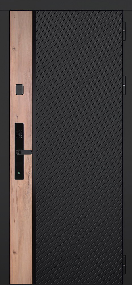 Стальная дверь "Фрегат" с зеркалом (биометрический замок Smart lock R06)