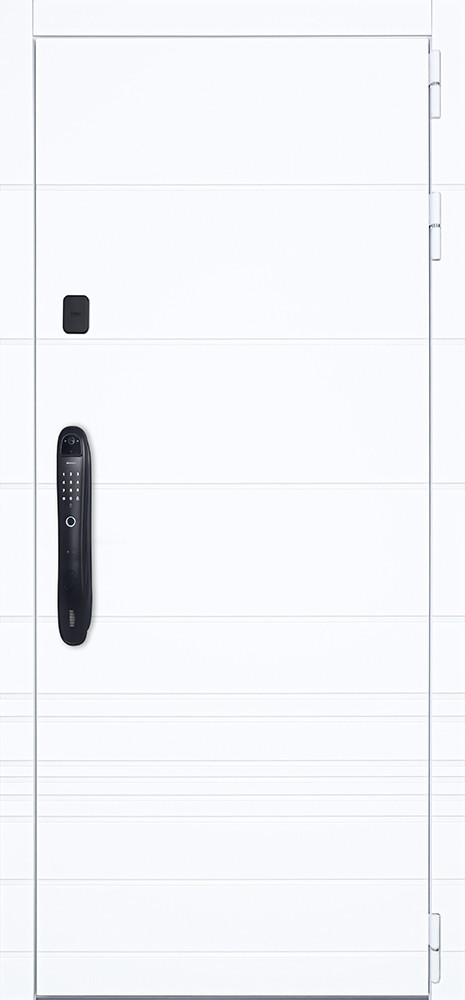 Стальная дверь "Горизонт" (биометрический замок Smart lock DZ 888)