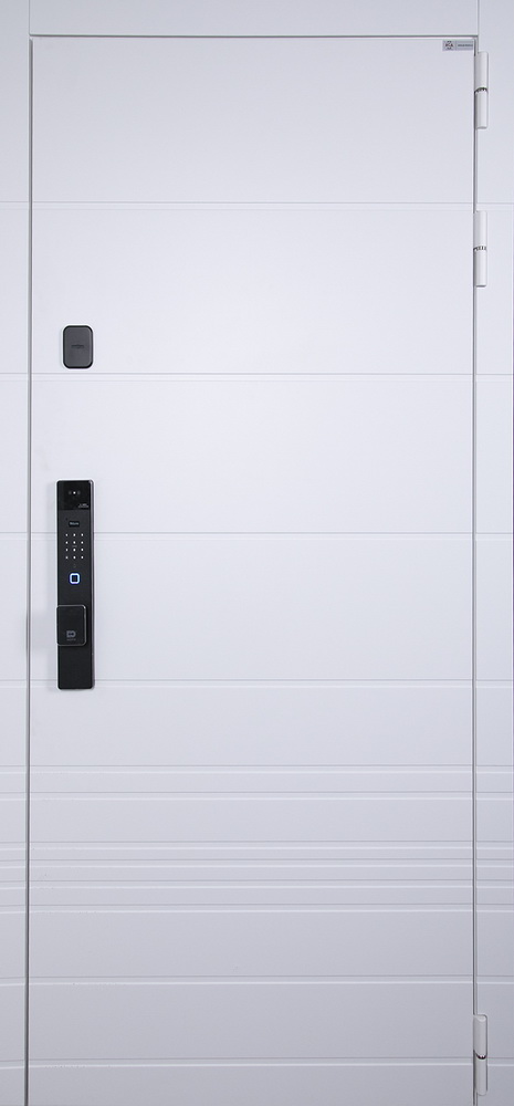 Стальная дверь Горизонт с зеркалом (биометрический замок Smart lock К06)