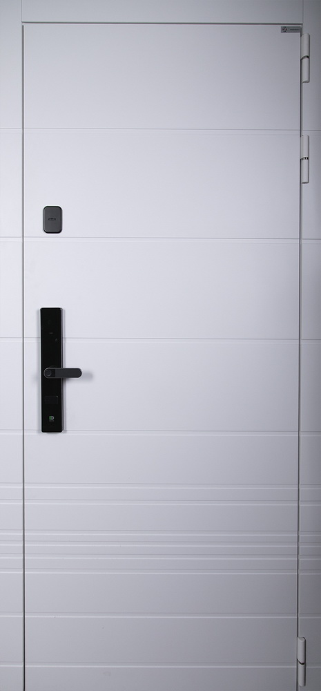 Стальная дверь "Горизонт" с зеркалом (биометрический замок Smart lock R06)