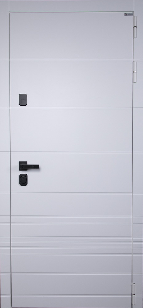 Стальная дверь "Горизонт" с зеркалом (биометрическая дверная ручка Smart lock T888)
