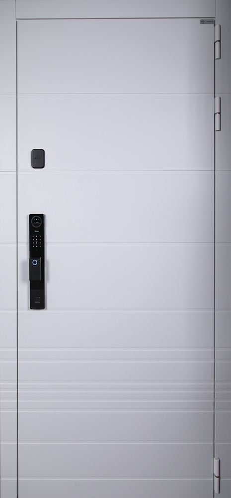 Стальная дверь "Горизонт" с зеркалом (биометрический замок Smart lock Y12)