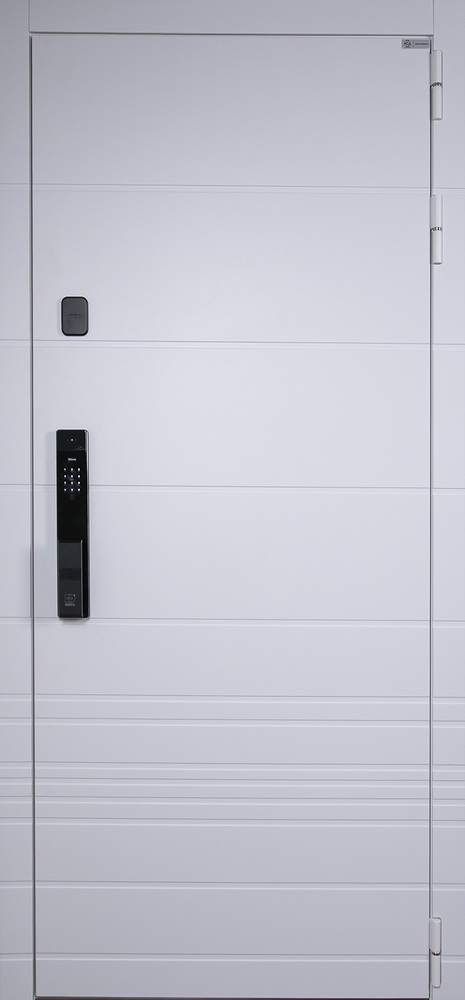 Стальная дверь "Горизонт" с зеркалом (биометрический замок Smart lock Y23)