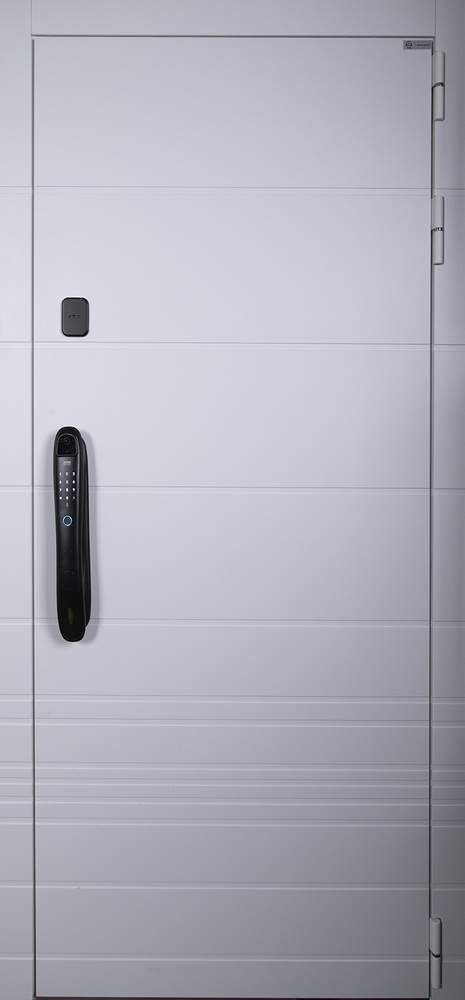 Стальная дверь "Горизонт" с зеркалом (биометрический замок Smart lock DZ 888)