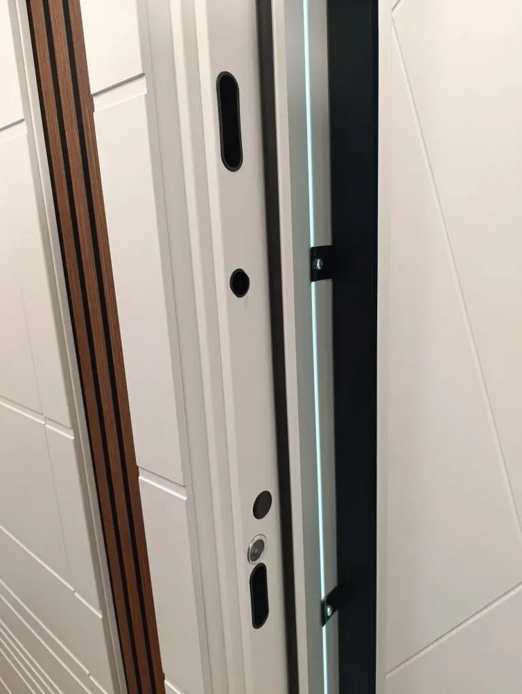 Стальная дверь "Горизонт" с зеркалом (биометрическая дверная ручка Smart lock T888)