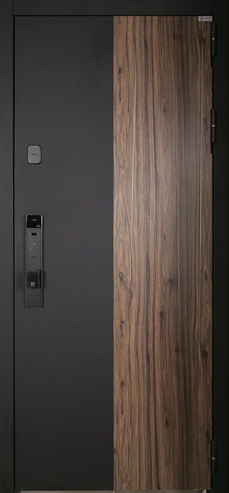 Стальная дверь "Инь-Янь" (биометрический замок Smart lock К06)