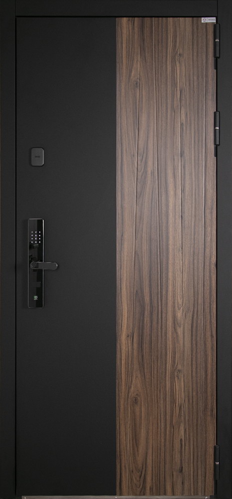 Стальная дверь "Инь-Янь" (биометрический замок Smart lock R06)
