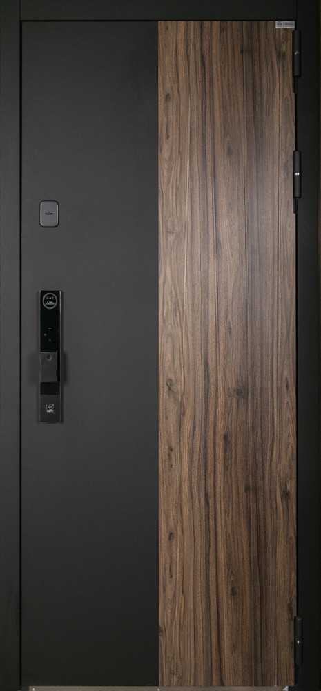 Стальная дверь "Инь-Янь" (биометрический замок Smart lock Y12)