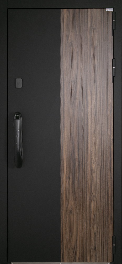 Стальная дверь "Инь-Янь" (биометрический замок Smart lock DZ 888)