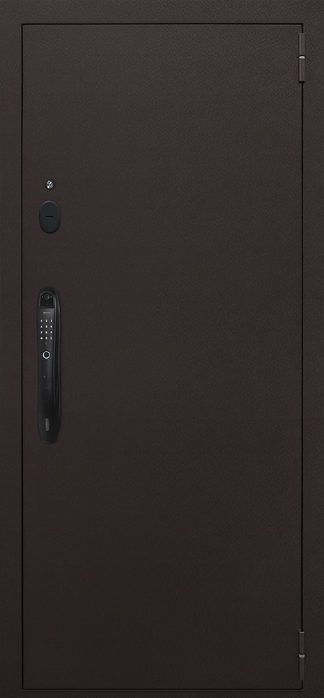 Стальная дверь "Комфорт" с зеркалом (биометрический замок Smart lock DZ 888)