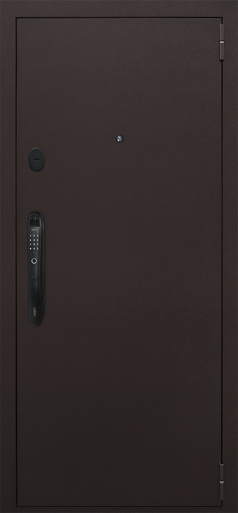 Стальная дверь "Комфорт" (биометрический замок Smart lock DZ 888)