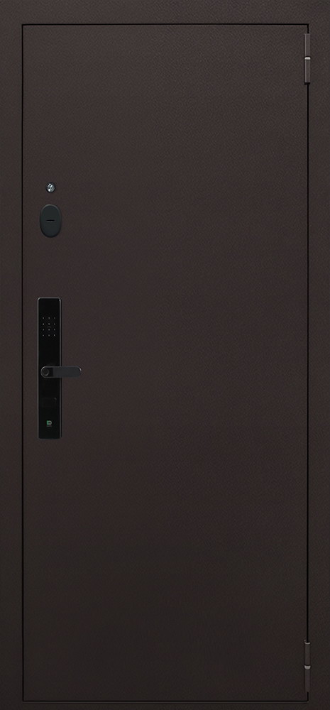 Стальная дверь "Комфорт" с зеркалом (биометрический замок Smart lock R06)