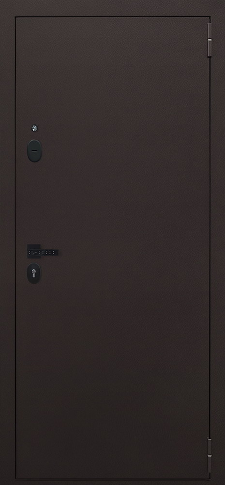 Стальная дверь "Комфорт" с зеркалом (биометрическая дверная ручка Smart lock T888)