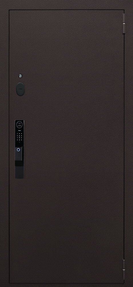 Стальная дверь "Комфорт" с зеркалом (биометрический замок Smart lock Y12)