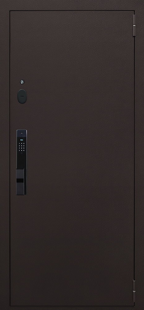 Стальная дверь "Комфорт" с зеркалом (биометрический замок Smart lock Y23)