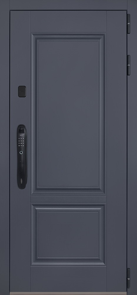 Стальная дверь "Ledo" (биометрический замок Smart lock DZ 888)