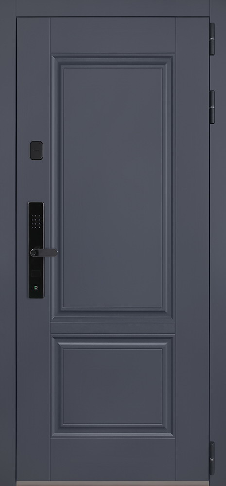 Стальная дверь "Ledo" (биометрический замок Smart lock R06)