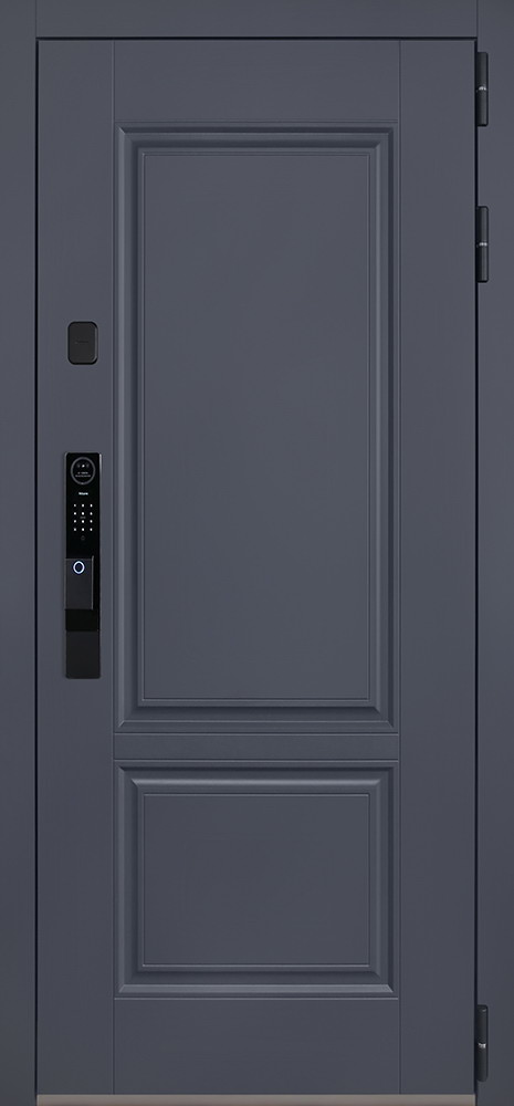 Стальная дверь "Ledo" (биометрический замок Smart lock Y12)