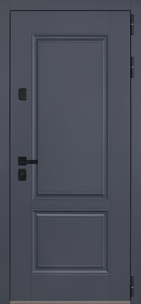Стальная дверь "Ledo" с зеркалом (биометрическая дверная ручка Smart lock T888)