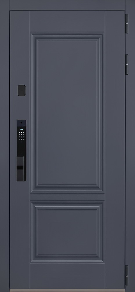 Стальная дверь "Ledo" с зеркалом (биометрический замок Smart lock Y23)
