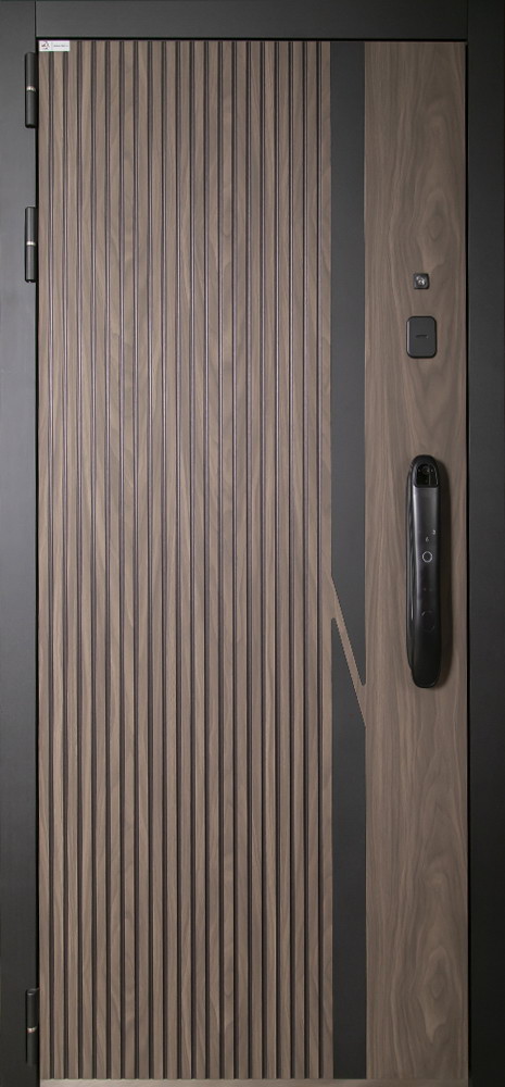 Стальная дверь "Life" с зеркалом (биометрический замок Smart lock DZ 888)