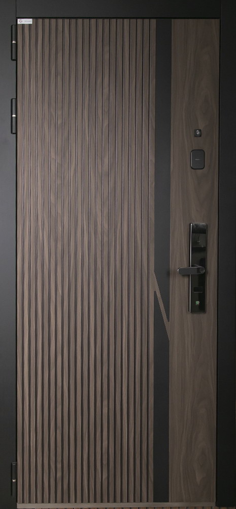 Стальная дверь "Life" (биометрический замок Smart lock R06)