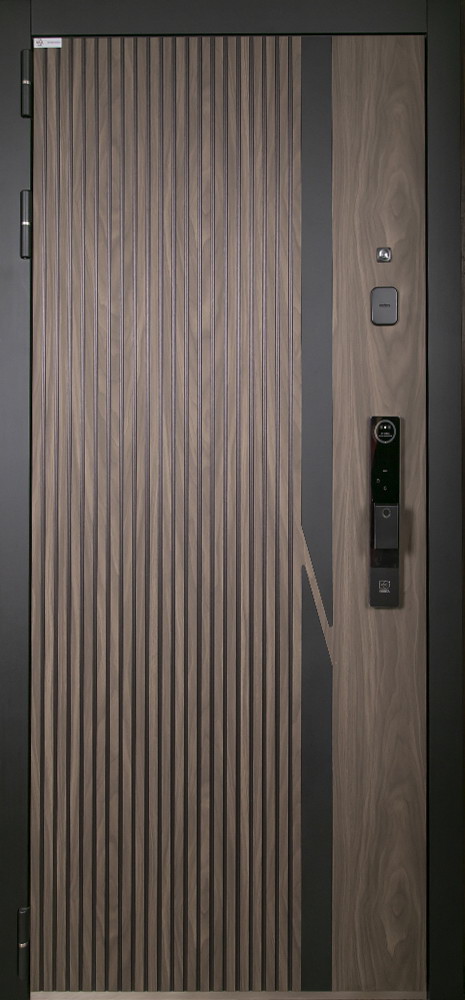 Стальная дверь "Life" с зеркалом (биометрический замок Smart lock Y12)