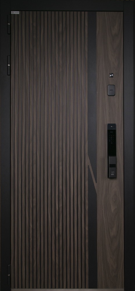 Стальная дверь "Life" с зеркалом (биометрический замок Smart lock Y23)