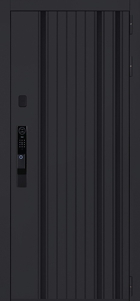 Стальная дверь "Solana" (биометрический замок Smart lock Y12)
