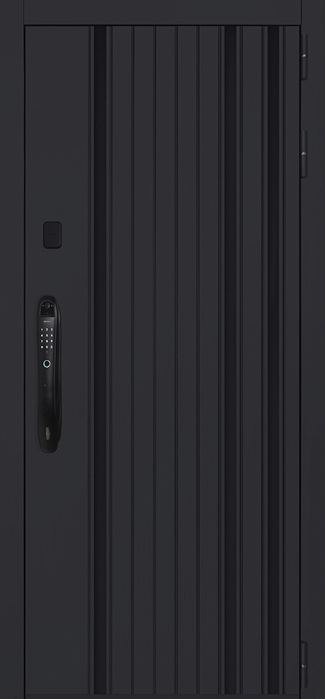 Стальная дверь "Solana" с зеркалом (биометрический замок Smart lock DZ 888)