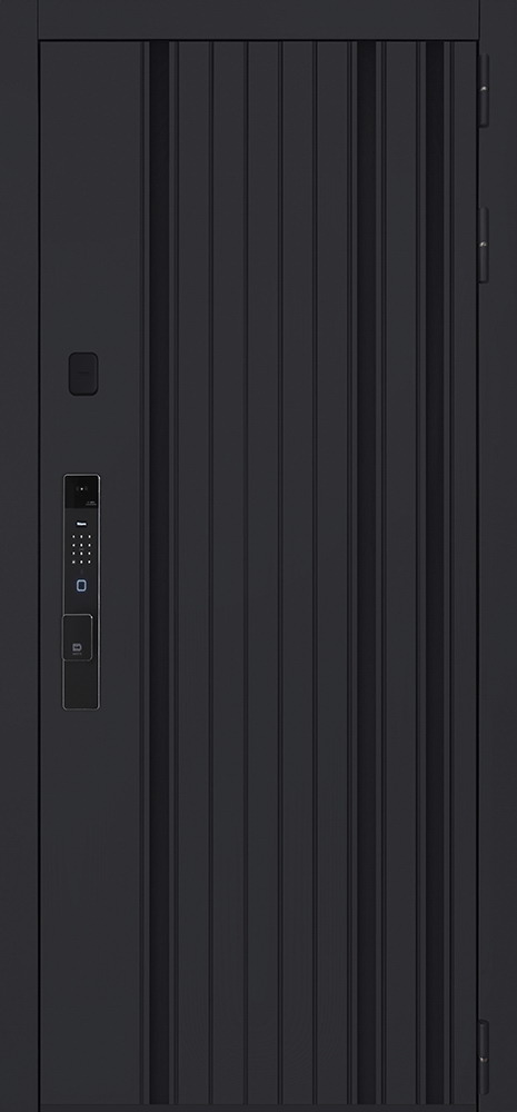 Стальная дверь "Solana" с зеркалом (биометрический замок Smart lock К06)